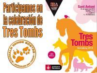 Celebracin de las actividades de Sant Antoni patrn de los animales - Cabalgata de Els 3 Tombs, Enero 2014.