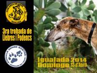 3era Edicin Encuentro Galgos y Podencos organizada por el Club de Amigos del Perro de Igualada!