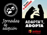 Jornada de actividades y pasarela de adopción en Jardiland Gava Noviembre 2014